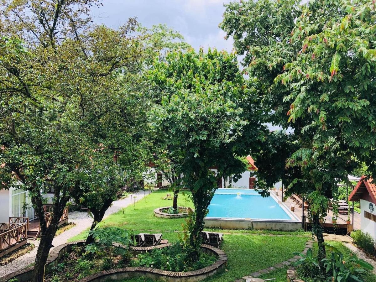 Jungle Paradise Vangvieng - Bungalows فان فيان المظهر الخارجي الصورة